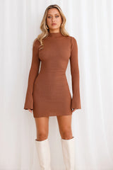 Isla Ribbed Long Sleeve Mini Dress Brown