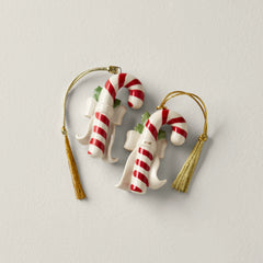 Personalized Forever Friends Candycane 2-Piece Set